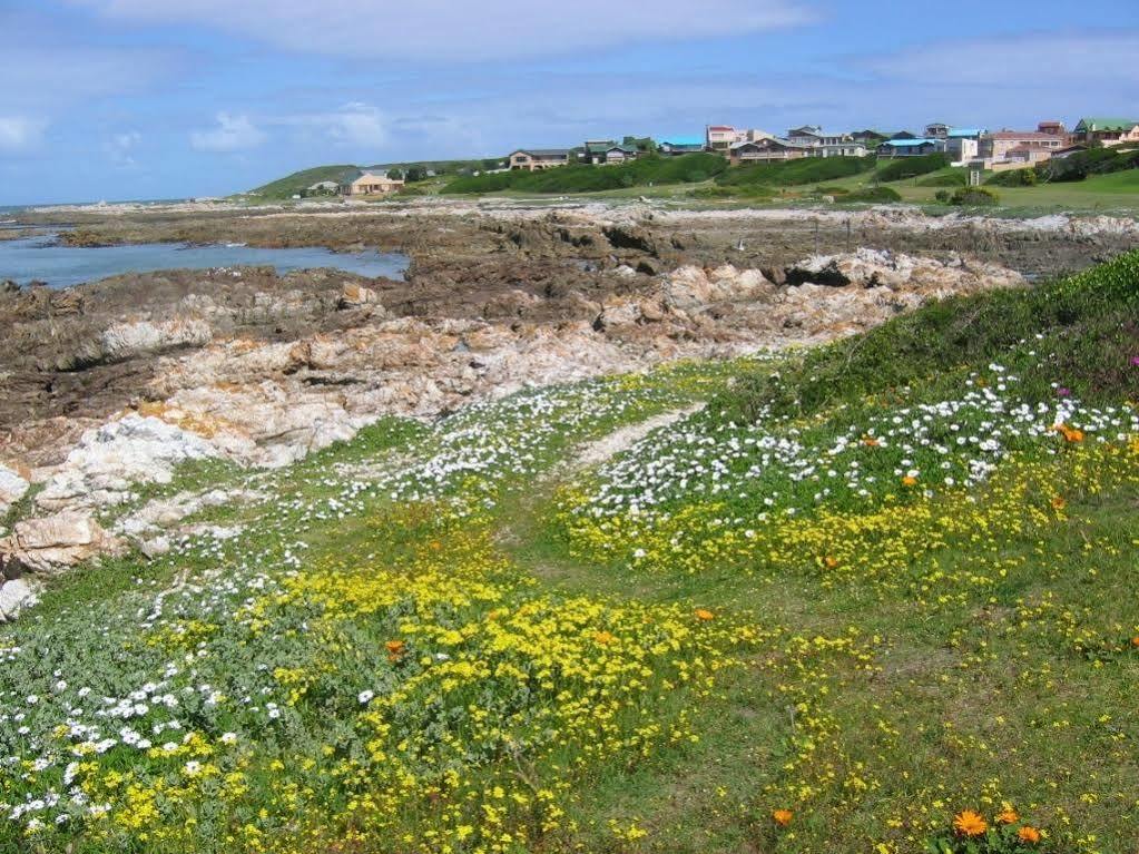 Aire Del Mar Guest House Kleinbaai Eksteriør billede